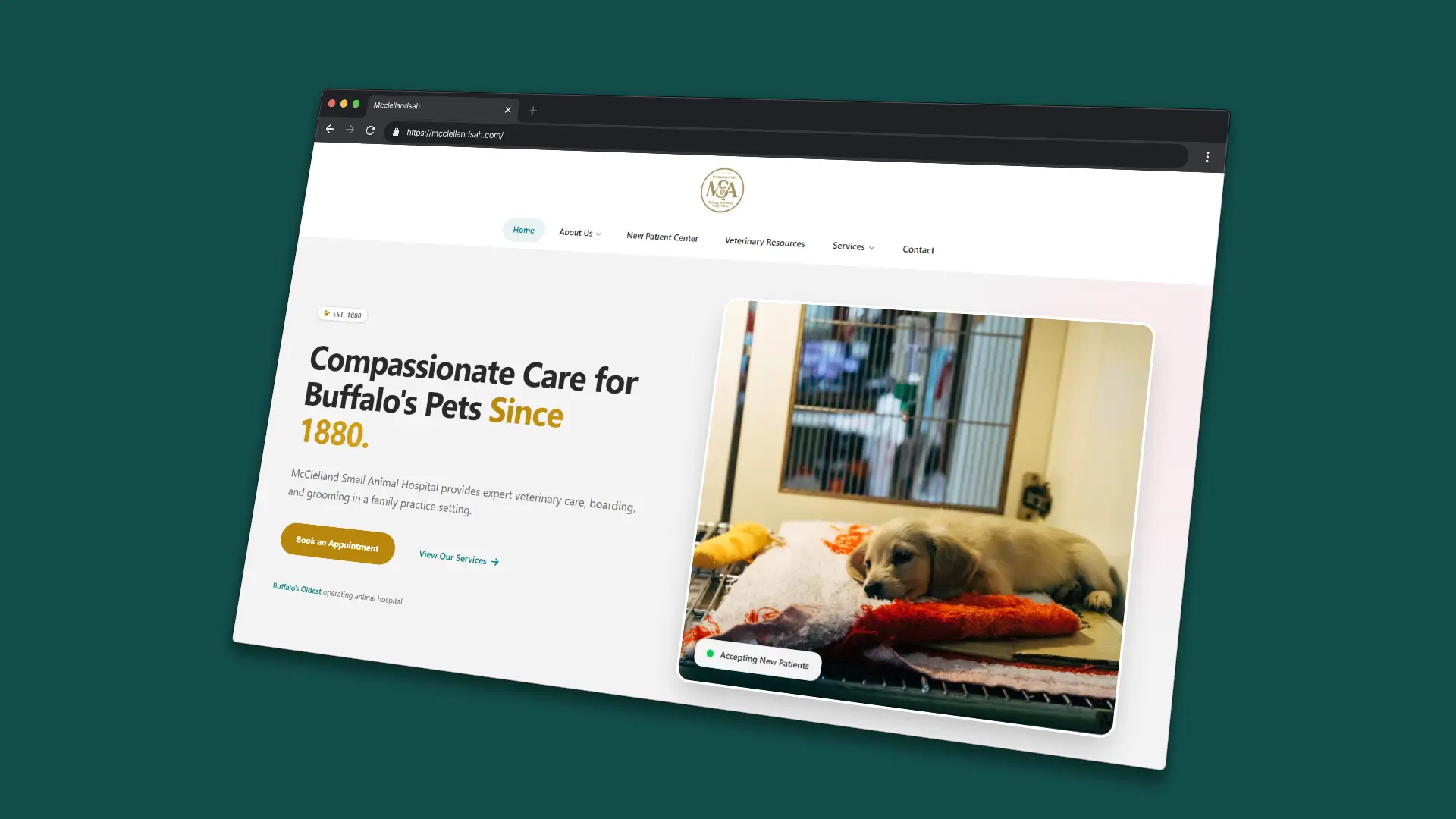 A Century of Care, Modernized: Redesigning Buffalo’s Oldest Animal Hospital cover image